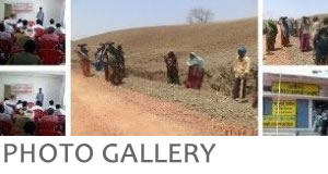 photo gallery inside